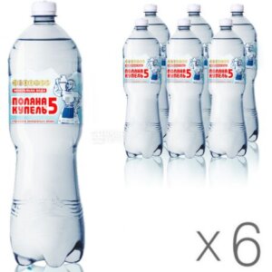 ПОЛЯНА 5